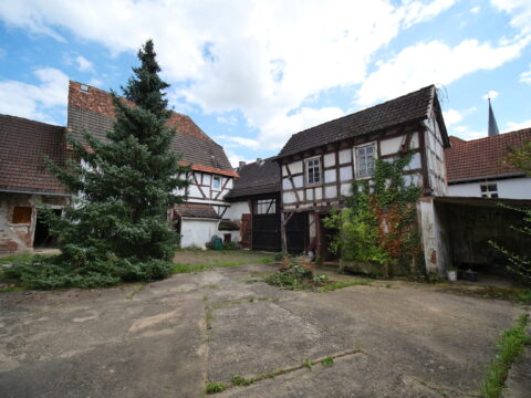 hofreite nahe darmstadt zu kaufen - blick auf haupthaus und nebengebäude