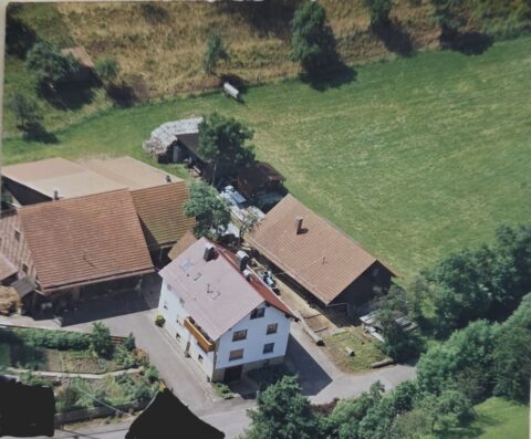 Luftbild Haus und Hof